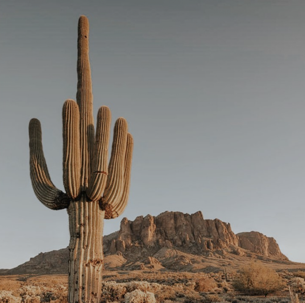 Gypsy Ribbon Defined - Novi Creations